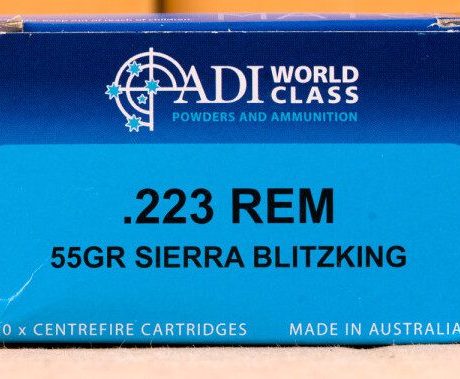 223 REM ADI WORLD CLASS 55 GRAIN BLITZKING